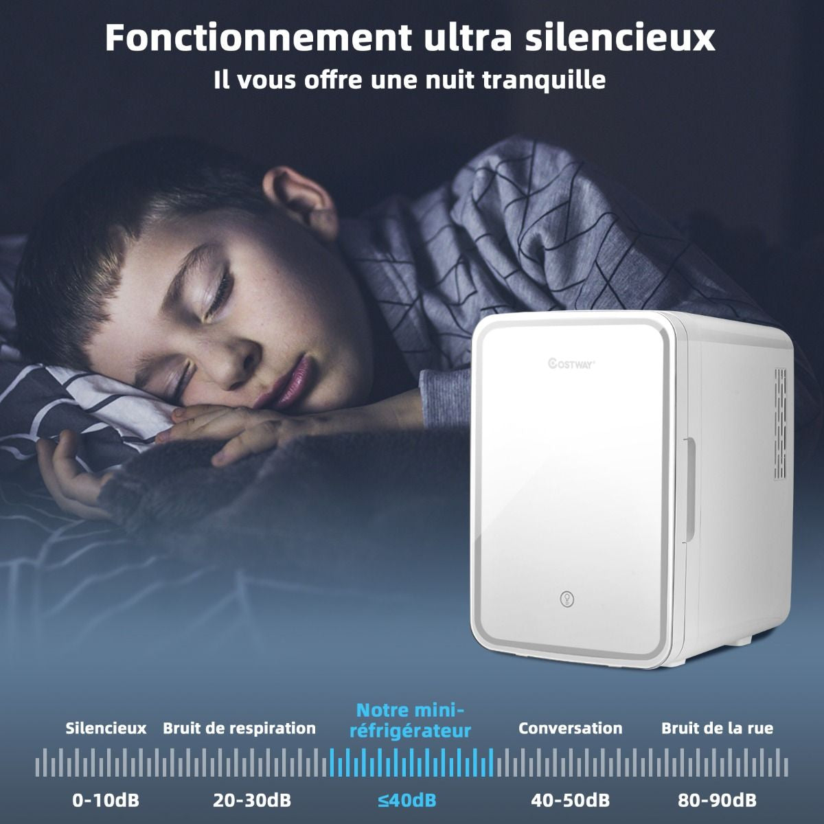 Mini Réfrigérateur De Maquillage Portable 10L Miroir LED Etagères Amovibles 12V DC/220V AC Refroidisseur Thermoélectrique