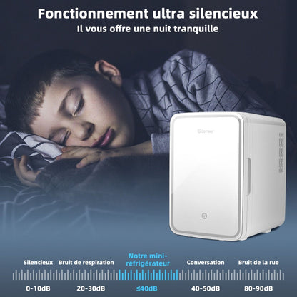 Mini Réfrigérateur De Maquillage Portable 10L Miroir LED Etagères Amovibles 12V DC/220V AC Refroidisseur Thermoélectrique